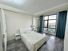 2 bedroom apartment on Turusbekova 9